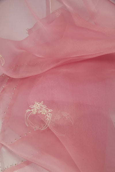 Blush Pink Inde Dupatta, hand embroidery, Resham and beads, evergreen light pink dupatta, BeTrue, Be True